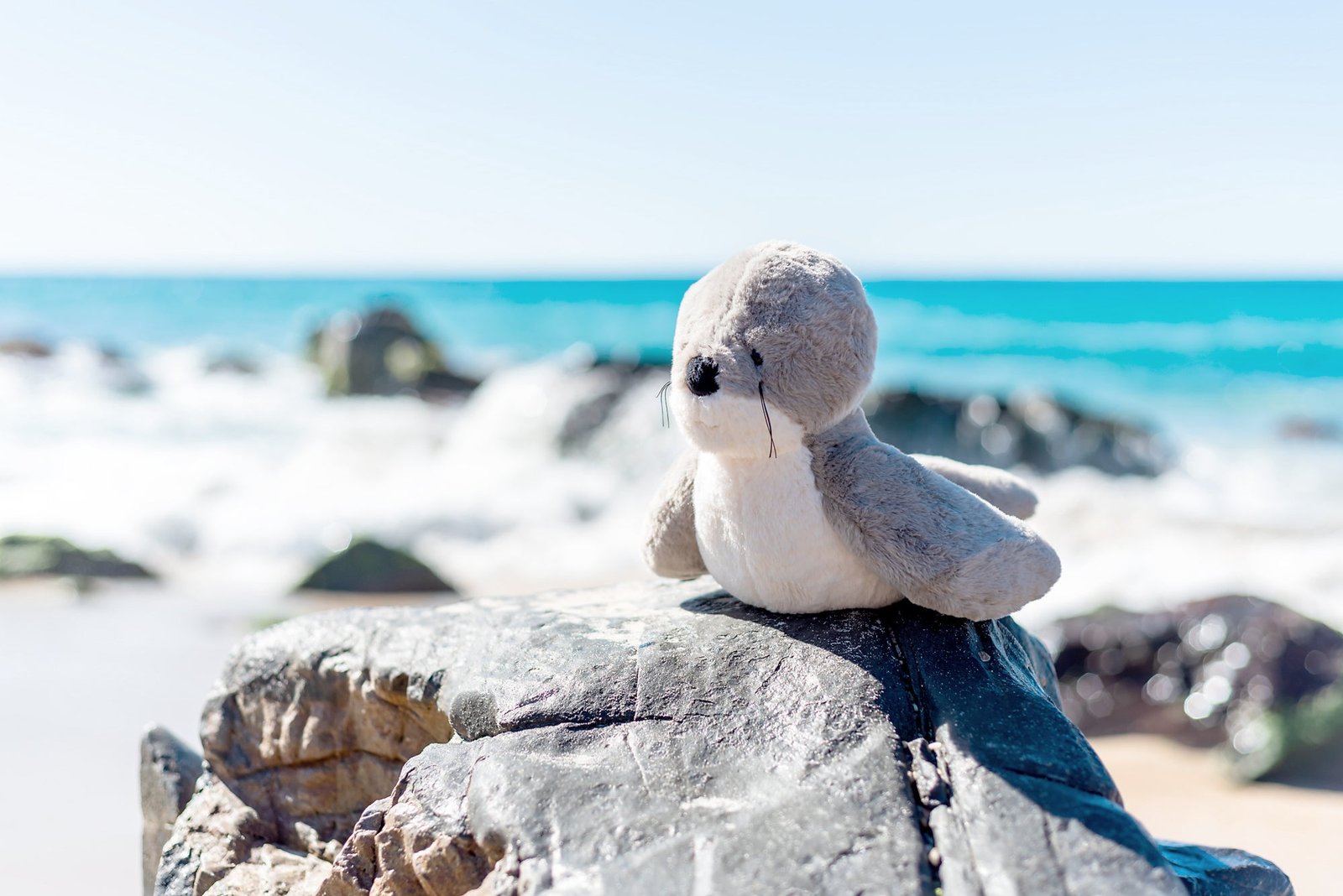 Soli Seal (Vegan Angora) Soft Toy 13.5"/34cm - Image 5