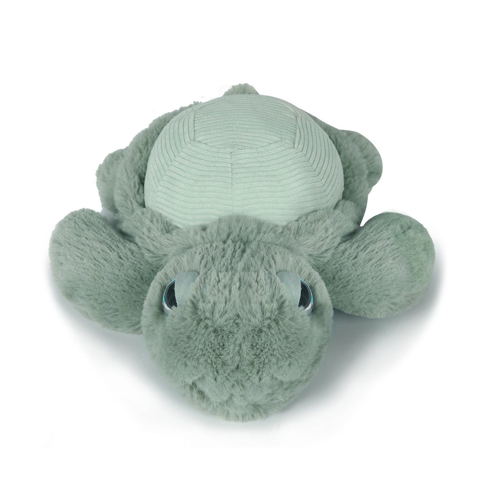 Little Tyler Turtle Soft Toy 7.8" / 20cm - Image 3